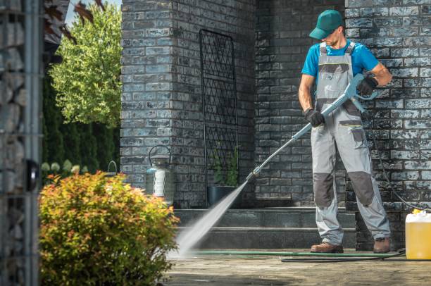 Best Sidewalk and Walkway Cleaning  in Pine Lakes, FL