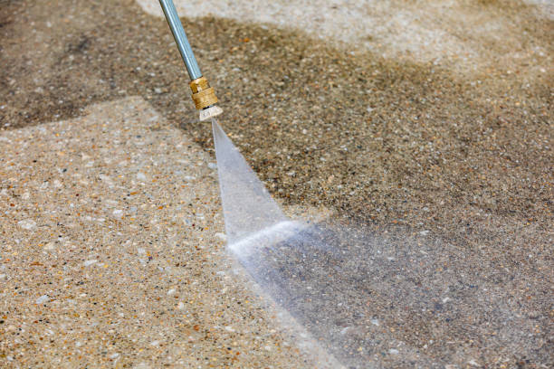 Best Driveway Pressure Washing  in Pine Lakes, FL